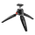 Akcesoria Foto Manfrotto Pixi Evo czarny